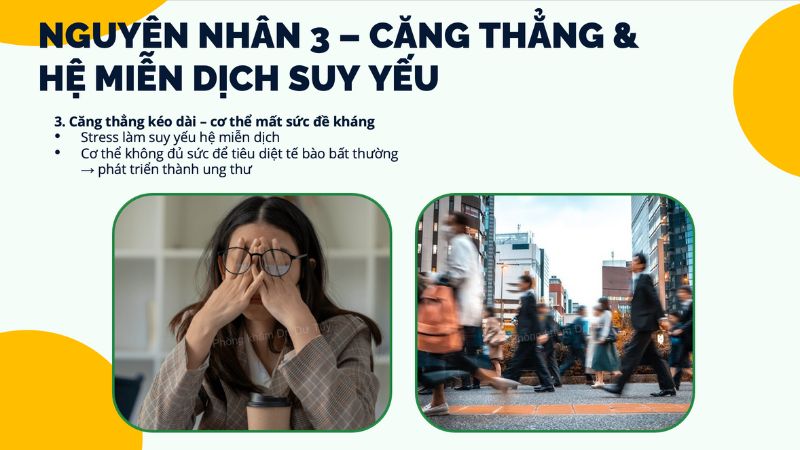 cách phòng ngừa ung thư