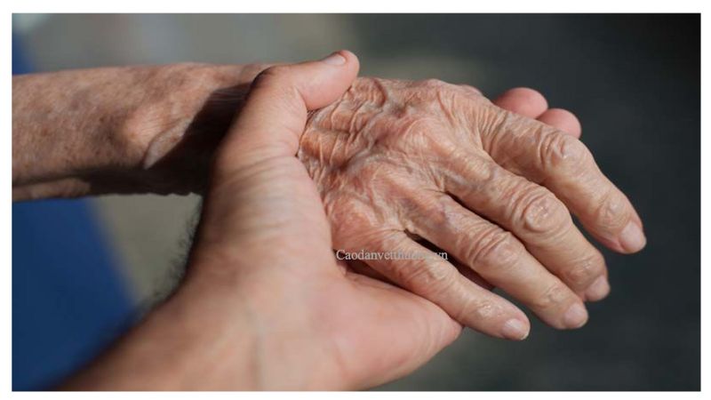Cái nắm tay trao gửi yêu thương tới người cao tuổi