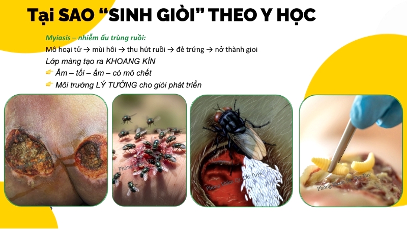 lam-dung-thuoc-tao-mang-che-vet-thuong