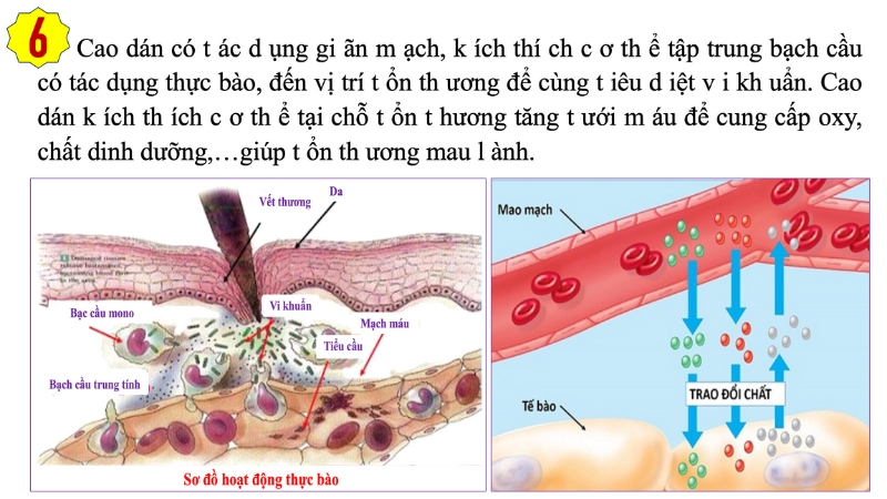 Người già bị lở loét