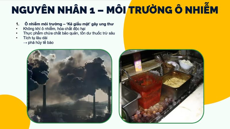 phòng ngừa ung thư