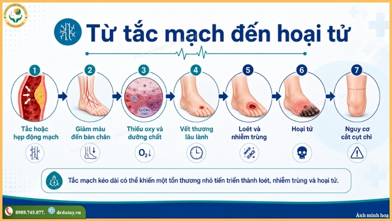 tac-mach-chi-duoi-dan-den-hoai-tu