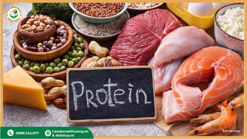 thuc-pham-giau-protein-giup-lanh-vet-thuong